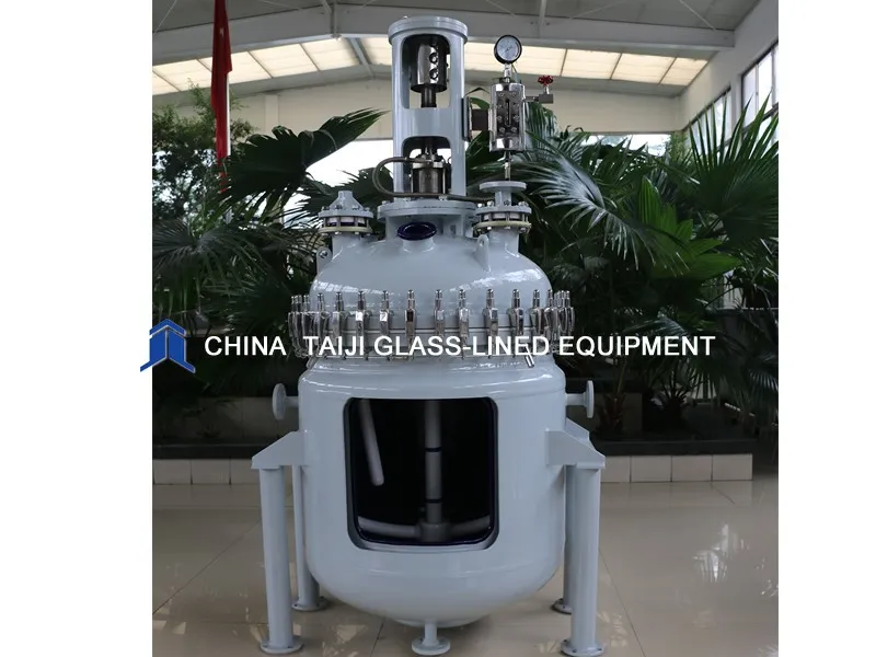 glass-lined-reactor29 glass-lined-reactor29